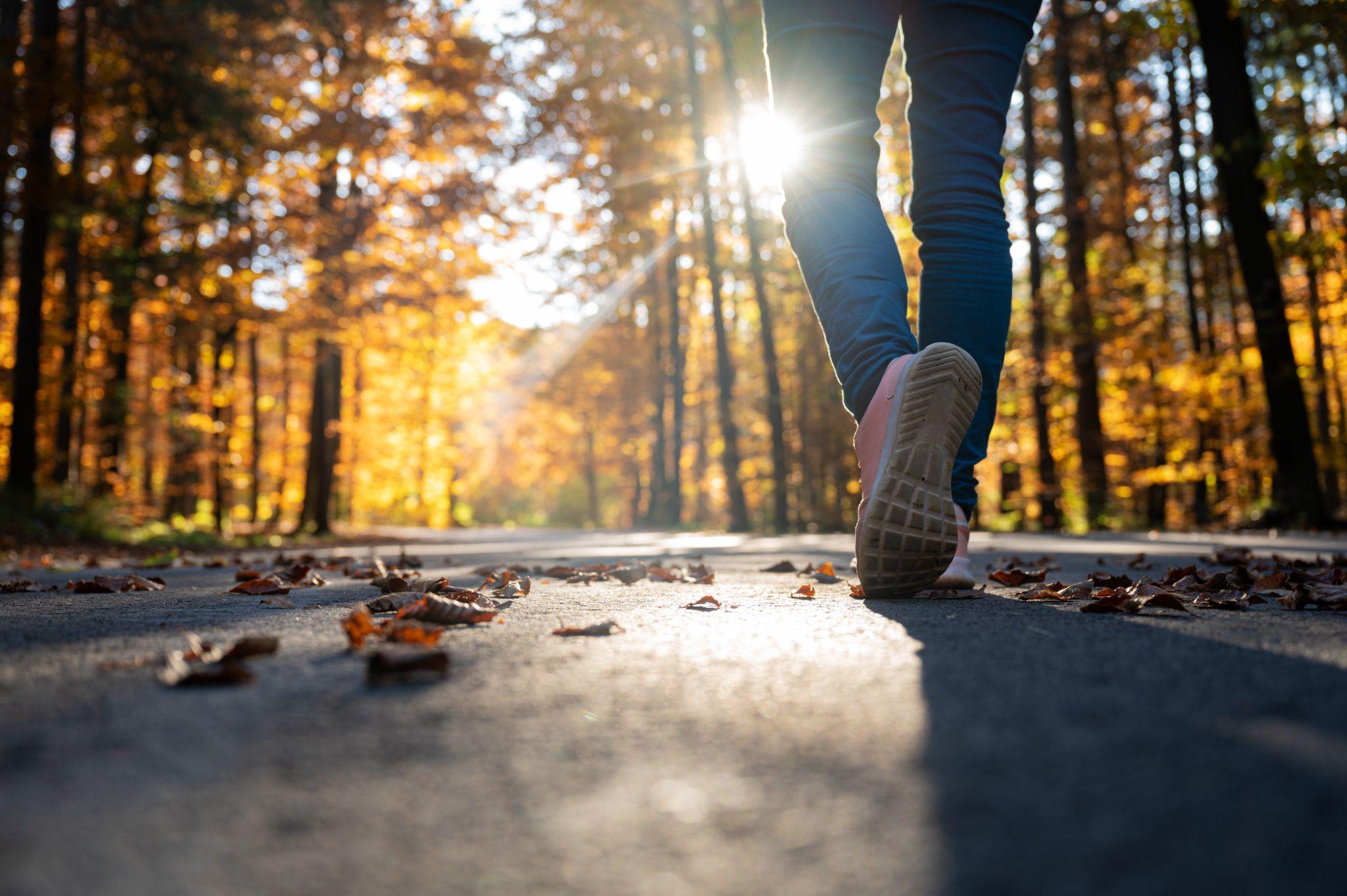 woman walking through an autumn nature