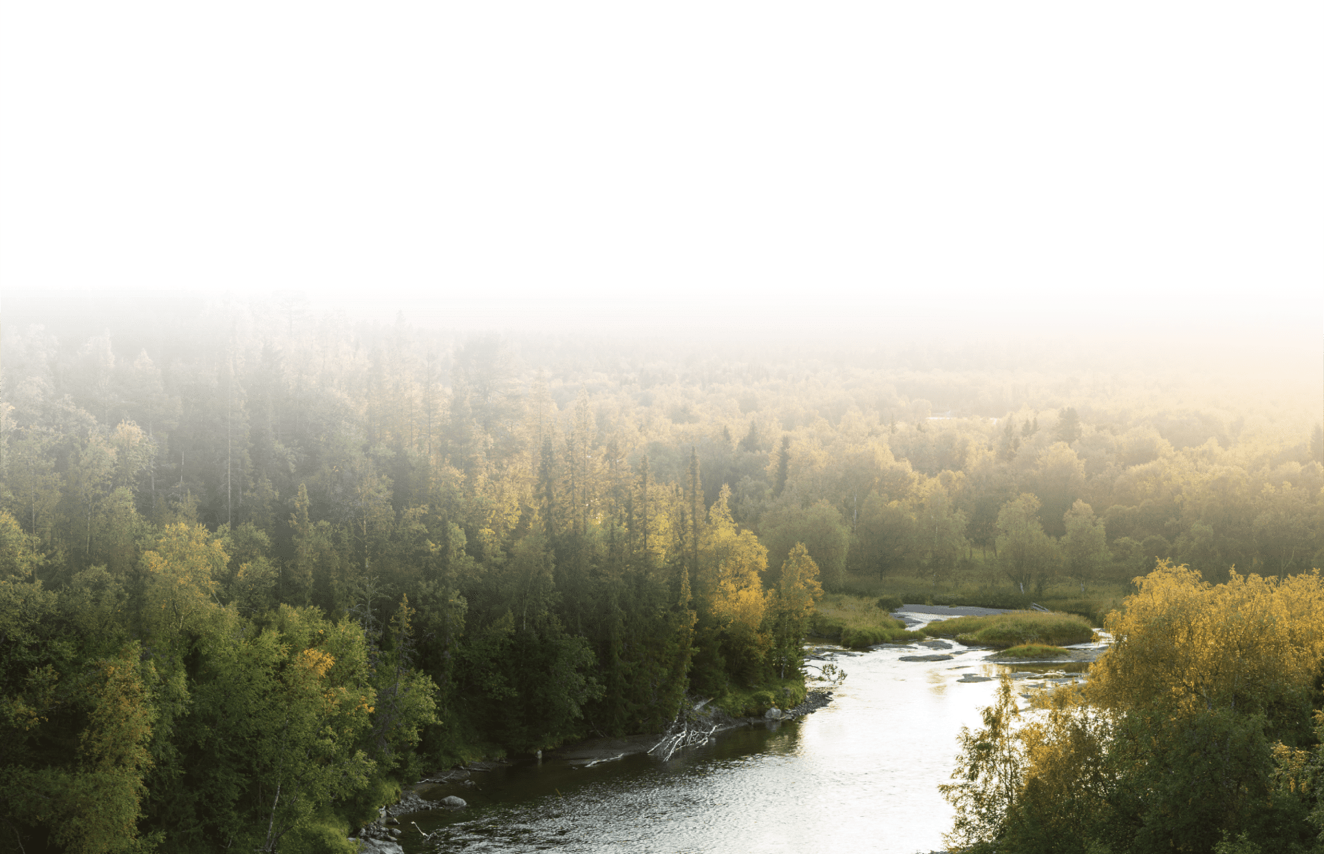 California Forest Lake