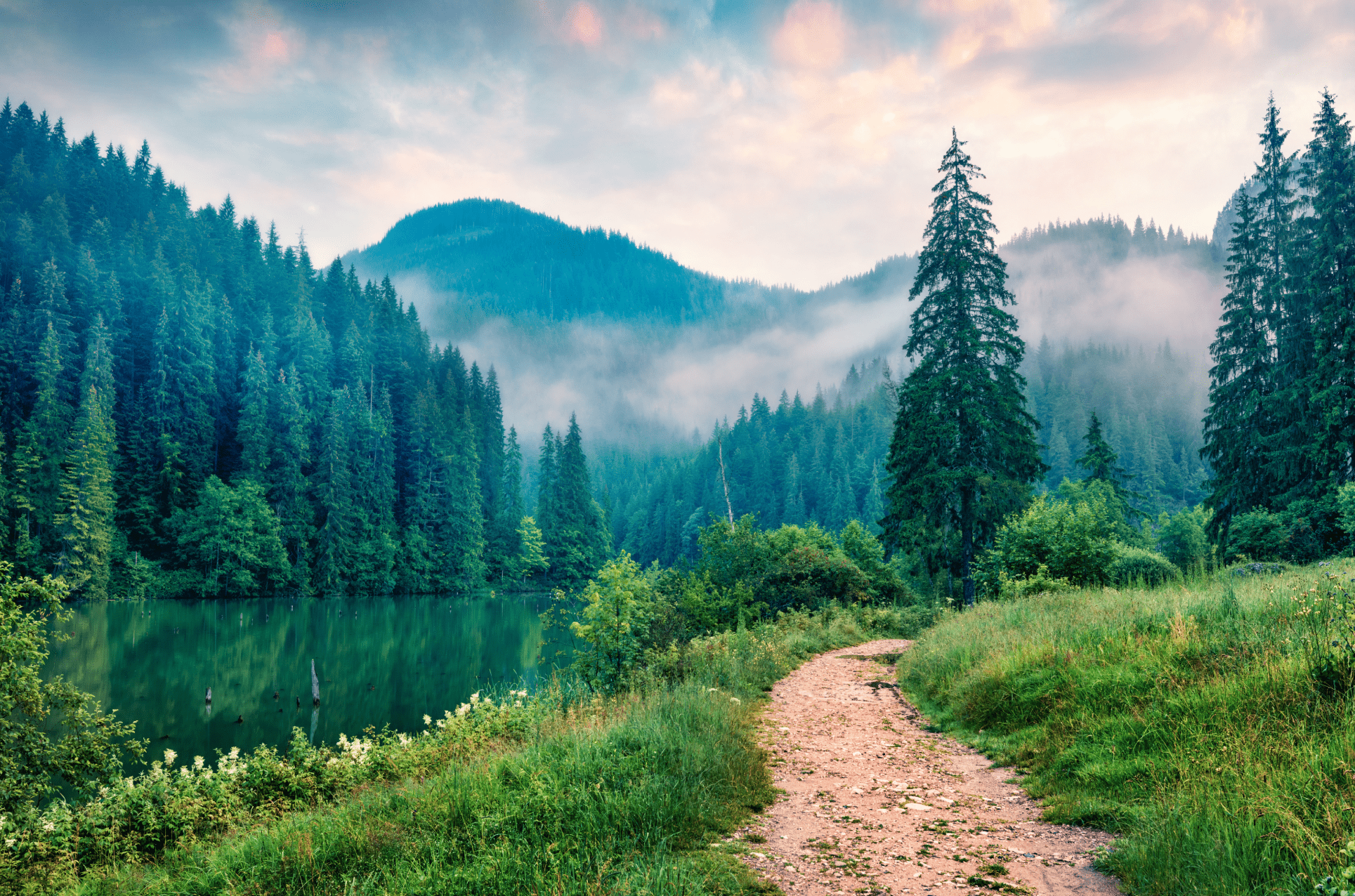 path winding through trees leads to a serene lake