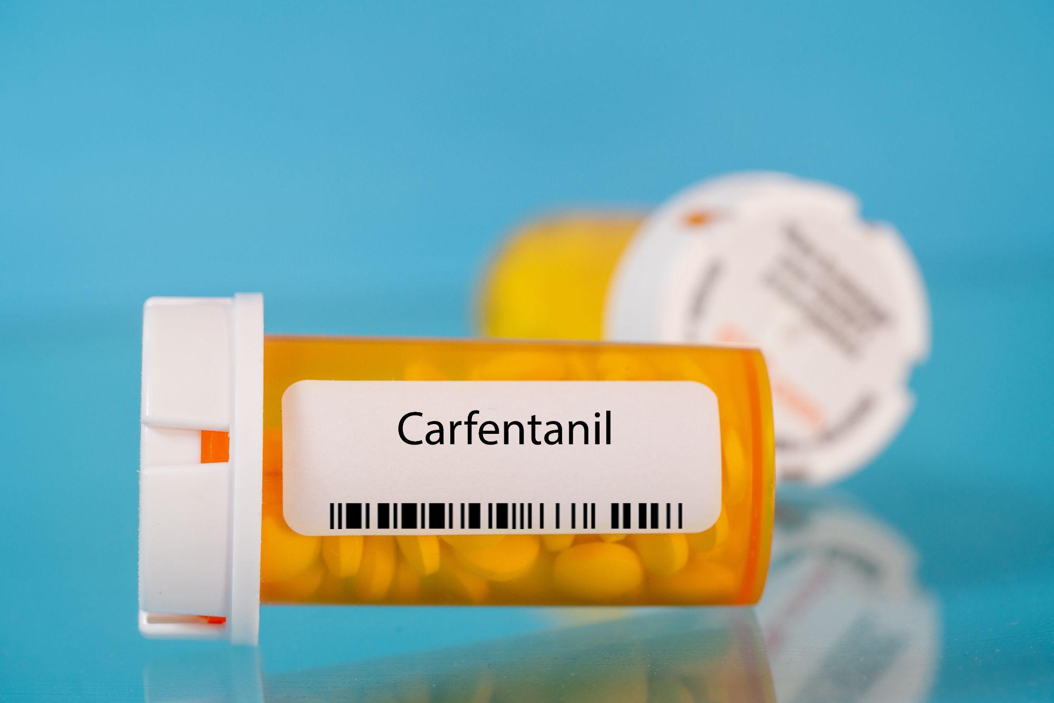 carfentanil addiction