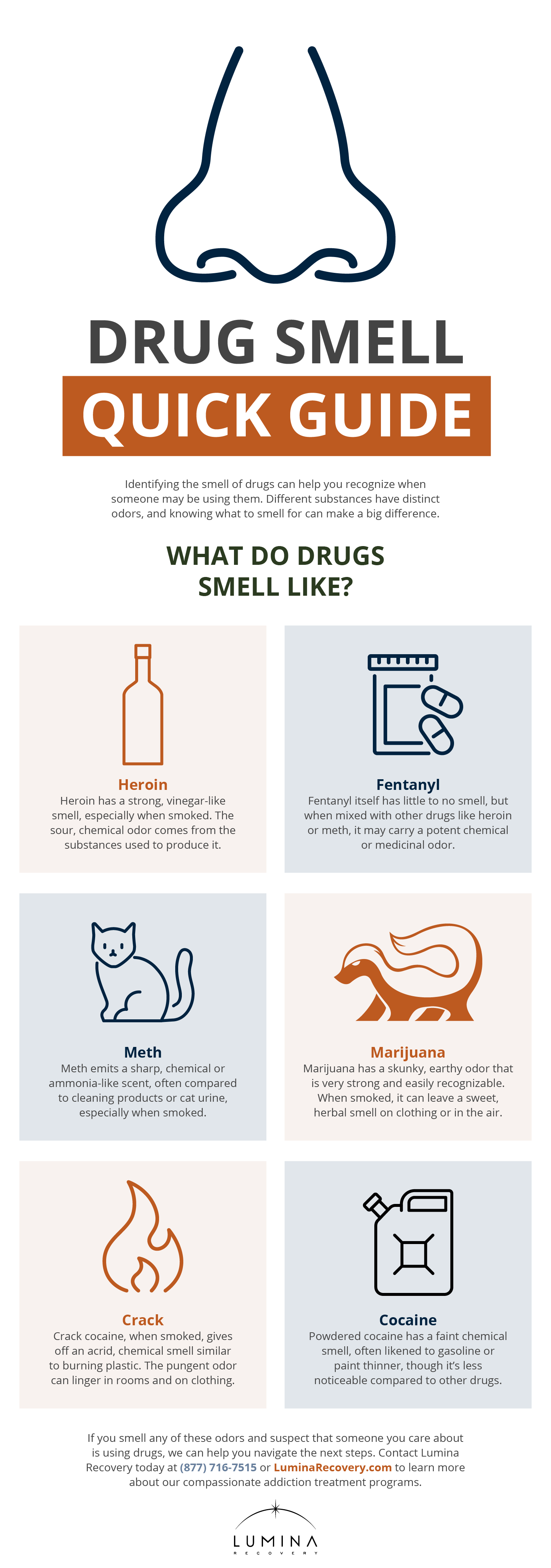 Drug Smell Quick Guide Infographic